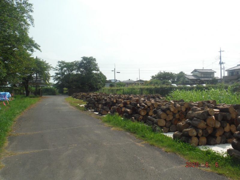 栃木市藤岡町藤岡（旧藤岡出張所）2 流木＆薪集め情報