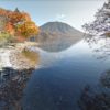 【湖岸の流木】栃木県日光市中宮祠　水面に美しい男体山を映しだす　中禅寺湖の流木スポット