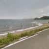 【湖岸の流木】静岡県浜松市北区三ヶ日町都筑　ウインドサーフィンできそうな浜名湖岸・猪鼻湖岸に満遍なく重なっている小さな流木