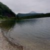 【湖岸の流木】山梨県南都留郡富士河口湖町西湖　富士山を望む静かな湖畔に流れ着いた小枝流木