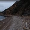 【海岸の流木】山口県周南市大島　道なき道を進む？冒険を楽しむ上級キャンパー向けの浜に連なる流木