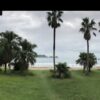 【海岸の流木】宮崎県延岡市熊野江町　熊野江海水浴場　水の透明度高い弓なり型の美しい入り江　流木の長～い帯と看板に見惚れる
