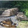 【薪材無料配布】青森県東津軽郡外ヶ浜町平舘石浜尻高川　杉・雑木18.6ｔ（2023/7/1～2023/9/15）杉・雑木20.2ｔ（2023/7/20～2023/9/25）