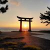 【海岸の流木】長崎県長崎市宮崎町　海と池の狭間にあるキャンプ場で発見した　目に染みる美しい朝陽と意外な生き物