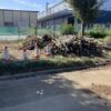 【薪材無料配布】栃木県小山市大字高椅　墓園やすらぎの森 南側緑地帯　園内伐採木の無料配布